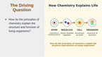 Biochemistry Substitute Slideshow & Teacher Guide sample page
