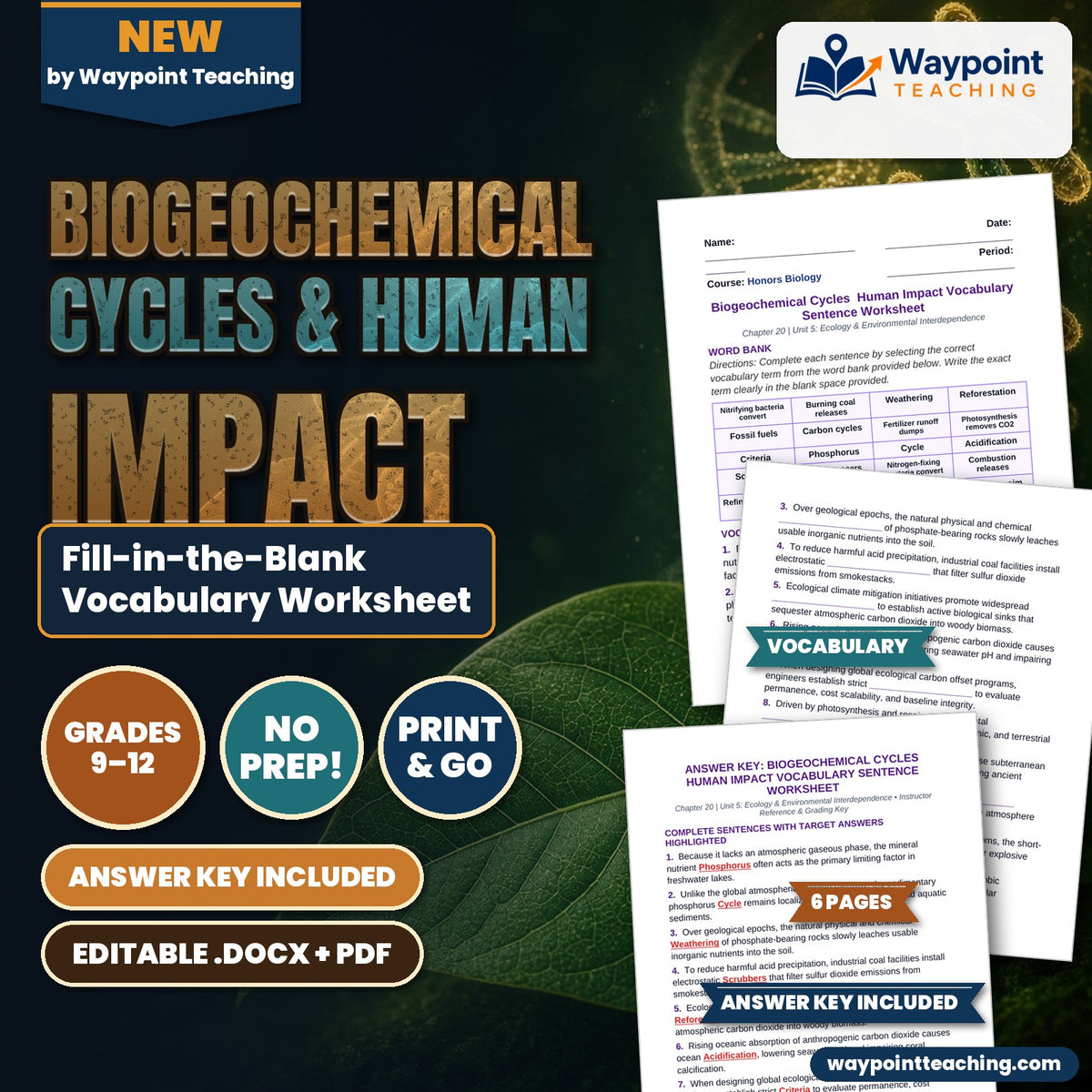Biogeochemical Cycles & Human Impact Fill-in-the-Blank Vocabulary Worksheet cover