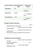 Biogeochemical Cycles & Human Impact Guided Notes sample page