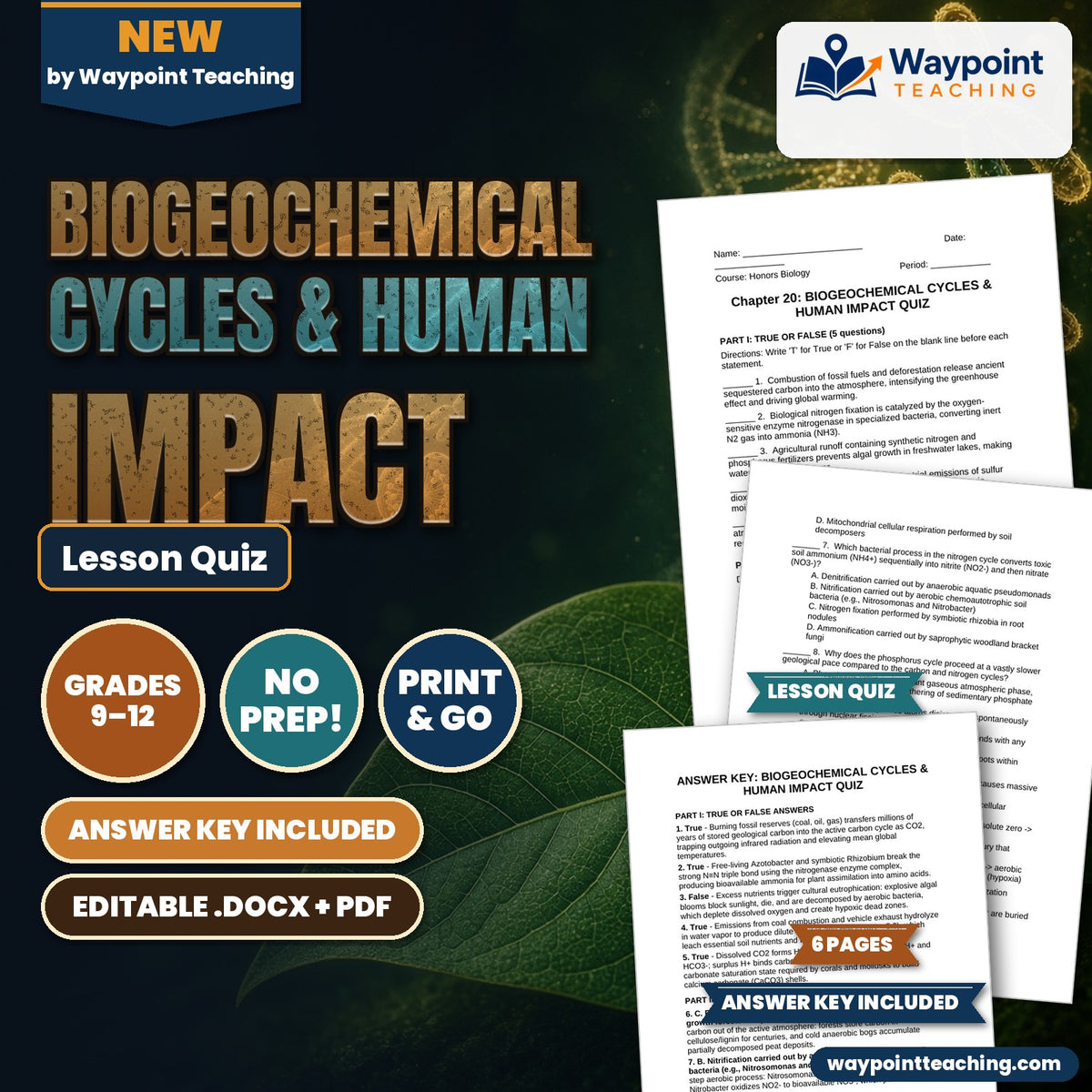 Biogeochemical Cycles & Human Impact Lesson Quiz cover