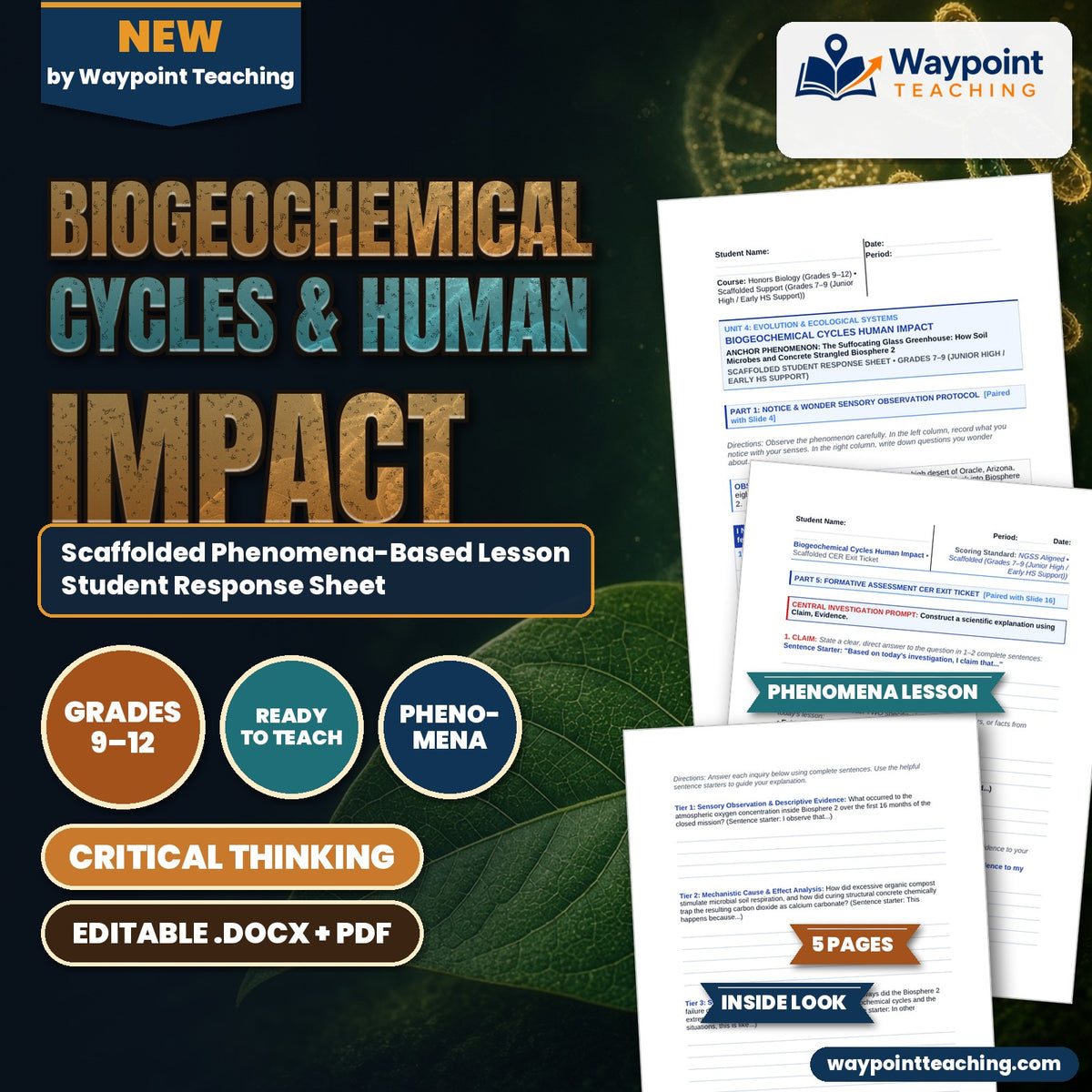 Biogeochemical Cycles & Human Impact Scaffolded Phenomena-Based Lesson: The Suffocating Glass Greenhouse: How Soil Microbes and Concrete Strangled Biosphere 2 Student Response Sheet cover