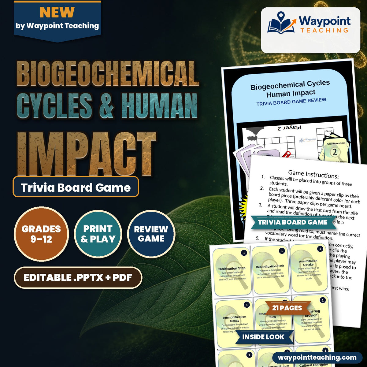 Biogeochemical Cycles & Human Impact Trivia Board Game cover