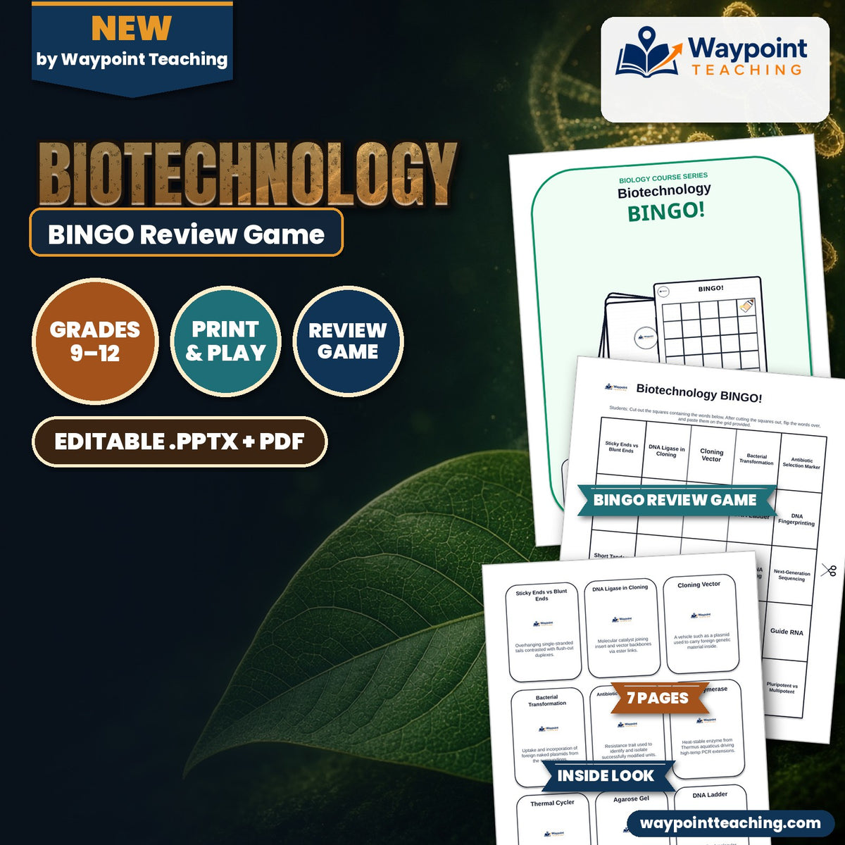 Biotechnology BINGO Review Game cover