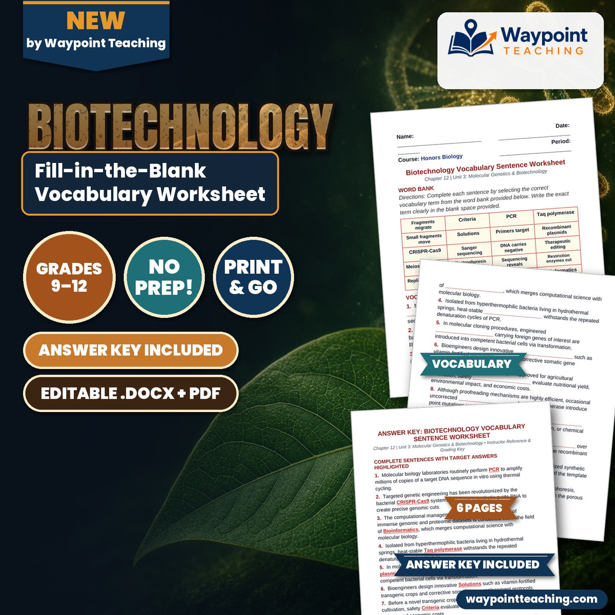 Biotechnology Fill-in-the-Blank Vocabulary Worksheet cover