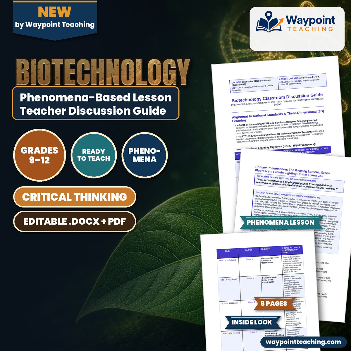 Biotechnology Phenomena-Based Lesson: The Glowing Lantern: Green Fluorescent Protein Lighting Up the Living Cell Teacher Discussion Guide cover