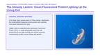 Biotechnology Scaffolded Phenomena-Based Lesson: The Glowing Lantern: Green Fluorescent Protein Lighting Up the Living Cell Presentation sample page