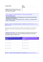 Biotechnology Scaffolded Phenomena-Based Lesson: The Glowing Lantern: Green Fluorescent Protein Lighting Up the Living Cell Student Response Sheet sample page