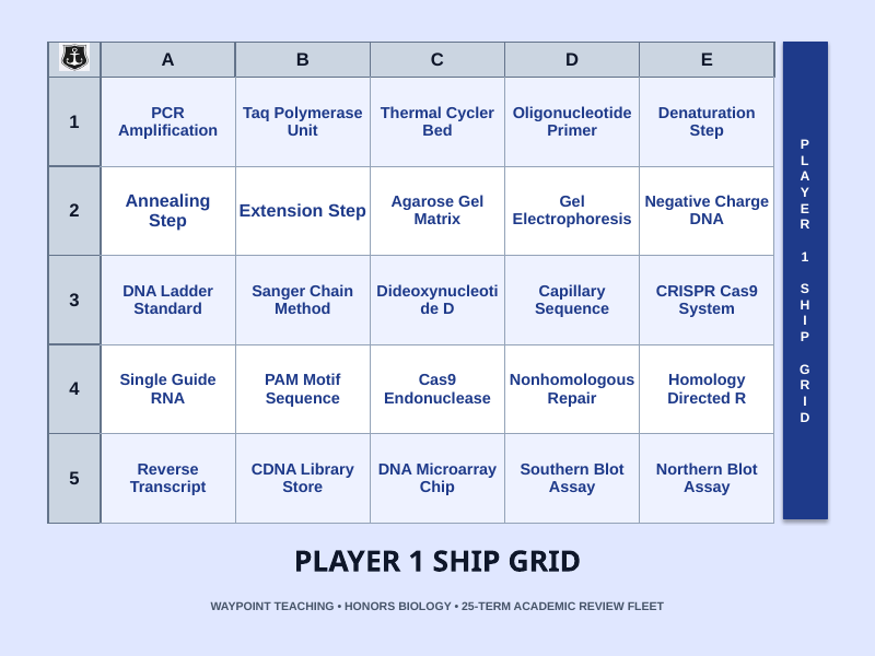 Biotechnology Sea Battle Review Game sample page