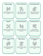 Biotechnology Tic-Tac-Toe Review Game sample page