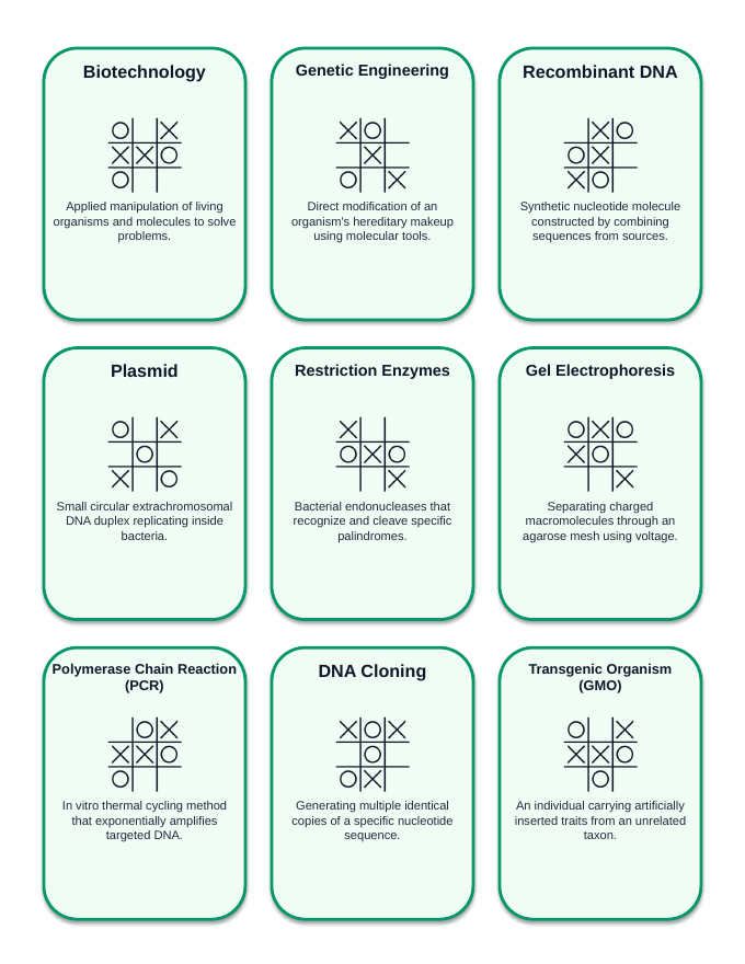 Biotechnology Tic-Tac-Toe Review Game sample page