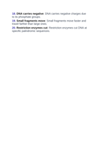 Biotechnology Vocabulary Words & Definitions sample page