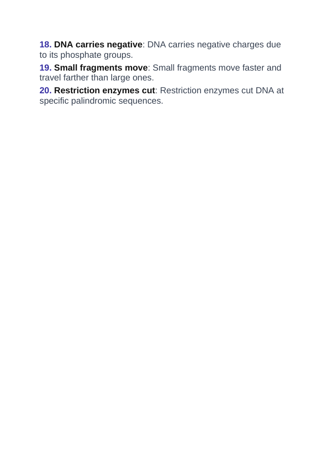 Biotechnology Vocabulary Words & Definitions sample page