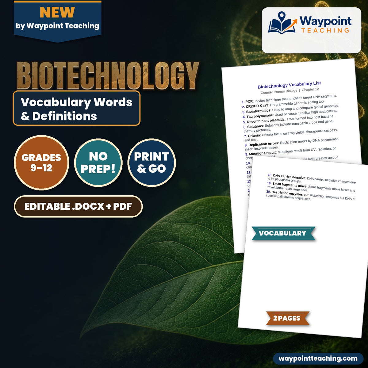 Biotechnology Vocabulary Words & Definitions cover