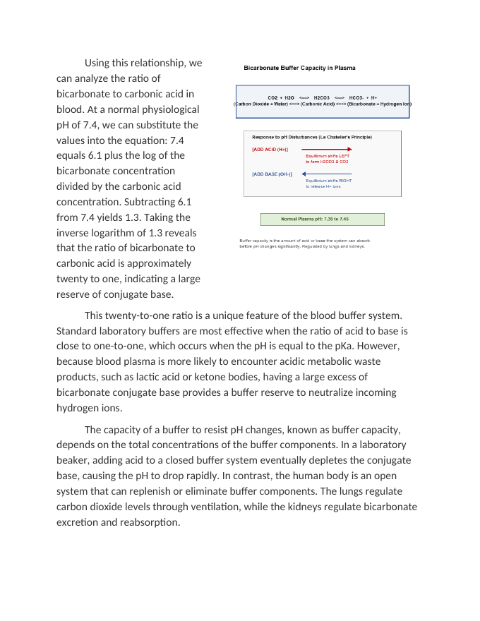 Buffer Capacity Calculations in Blood Plasma Reading Worksheet sample page