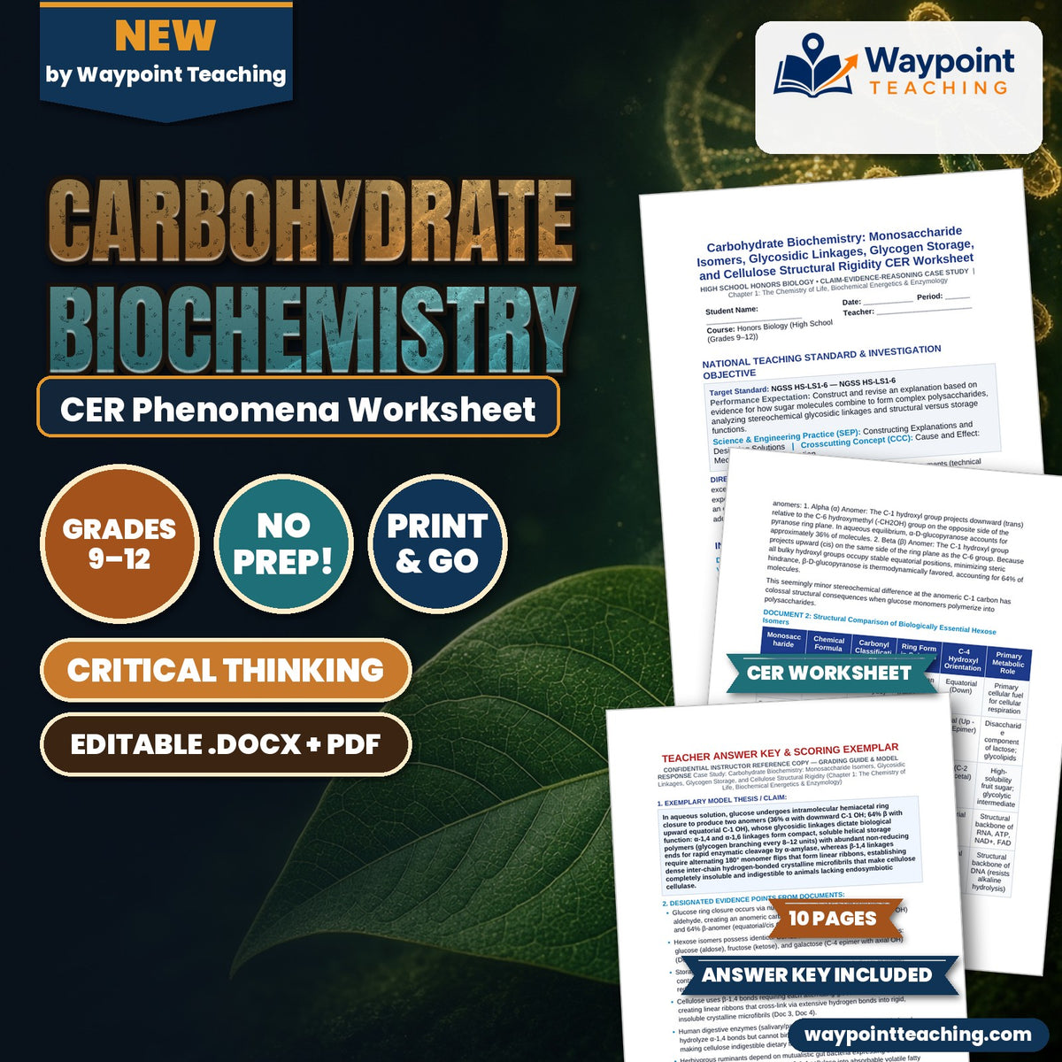 Carbohydrate Biochemistry: Monosaccharide Isomers, Glycosidic Linkages, Glycogen Storage, and Cellulose Structural Rigidity CER Phenomena Worksheet cover