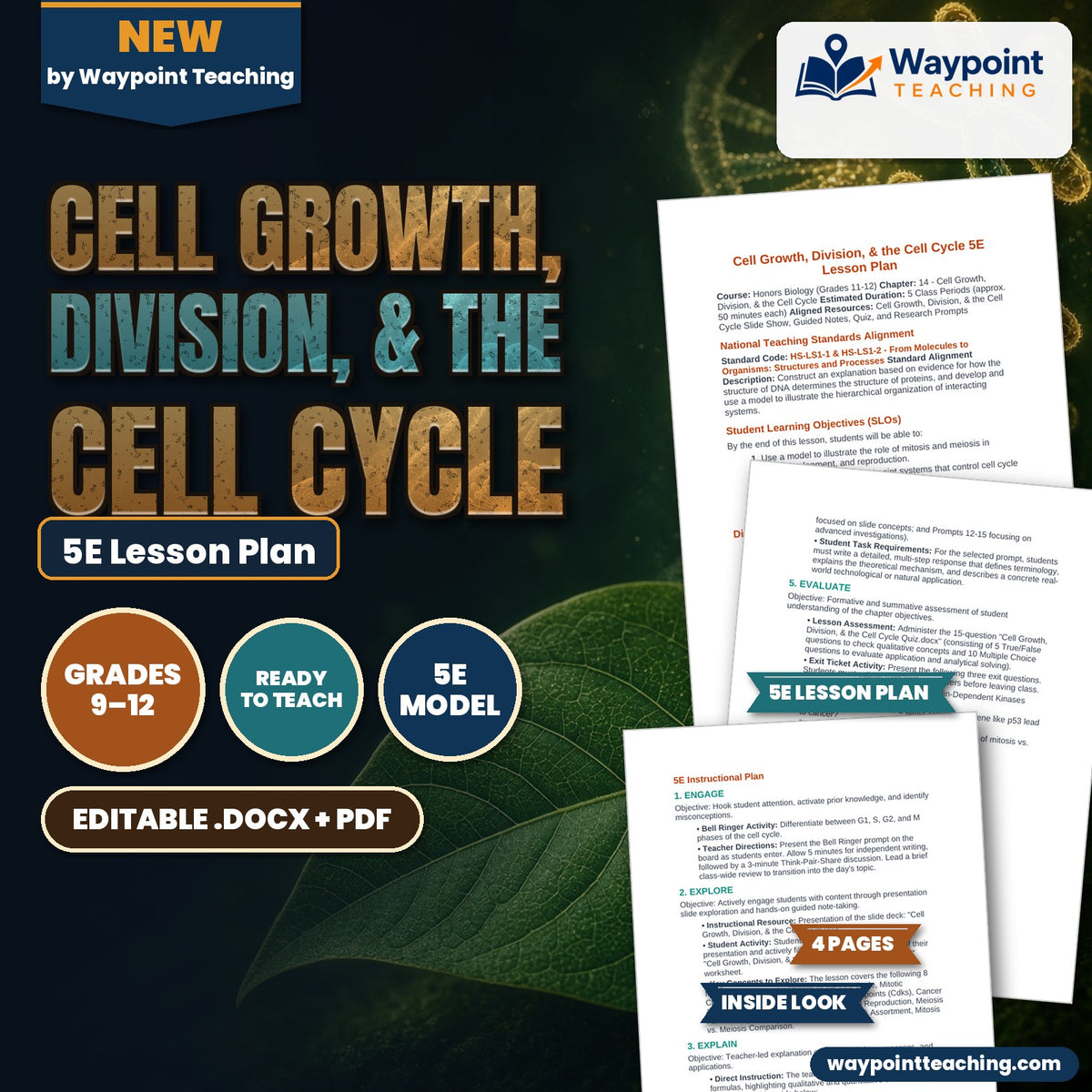 Cell Growth, Division, &  the Cell Cycle 5E Lesson Plan cover