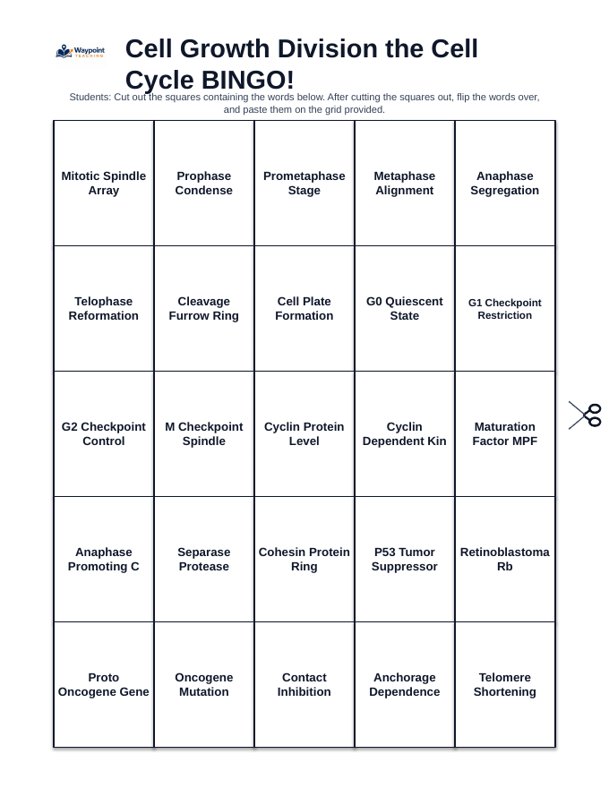 Cell Growth, Division, &  the Cell Cycle BINGO Review Game sample page