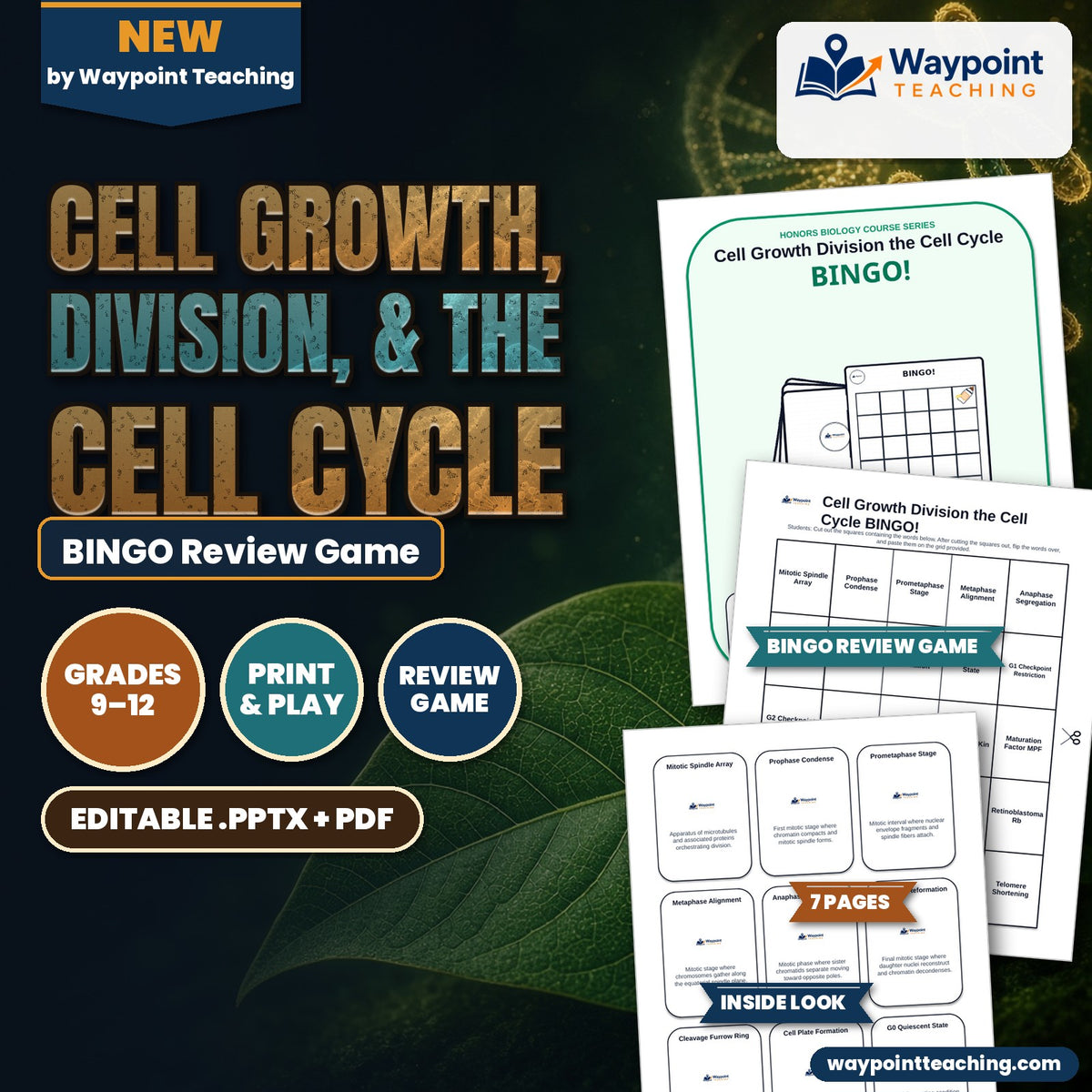Cell Growth, Division, &  the Cell Cycle BINGO Review Game cover