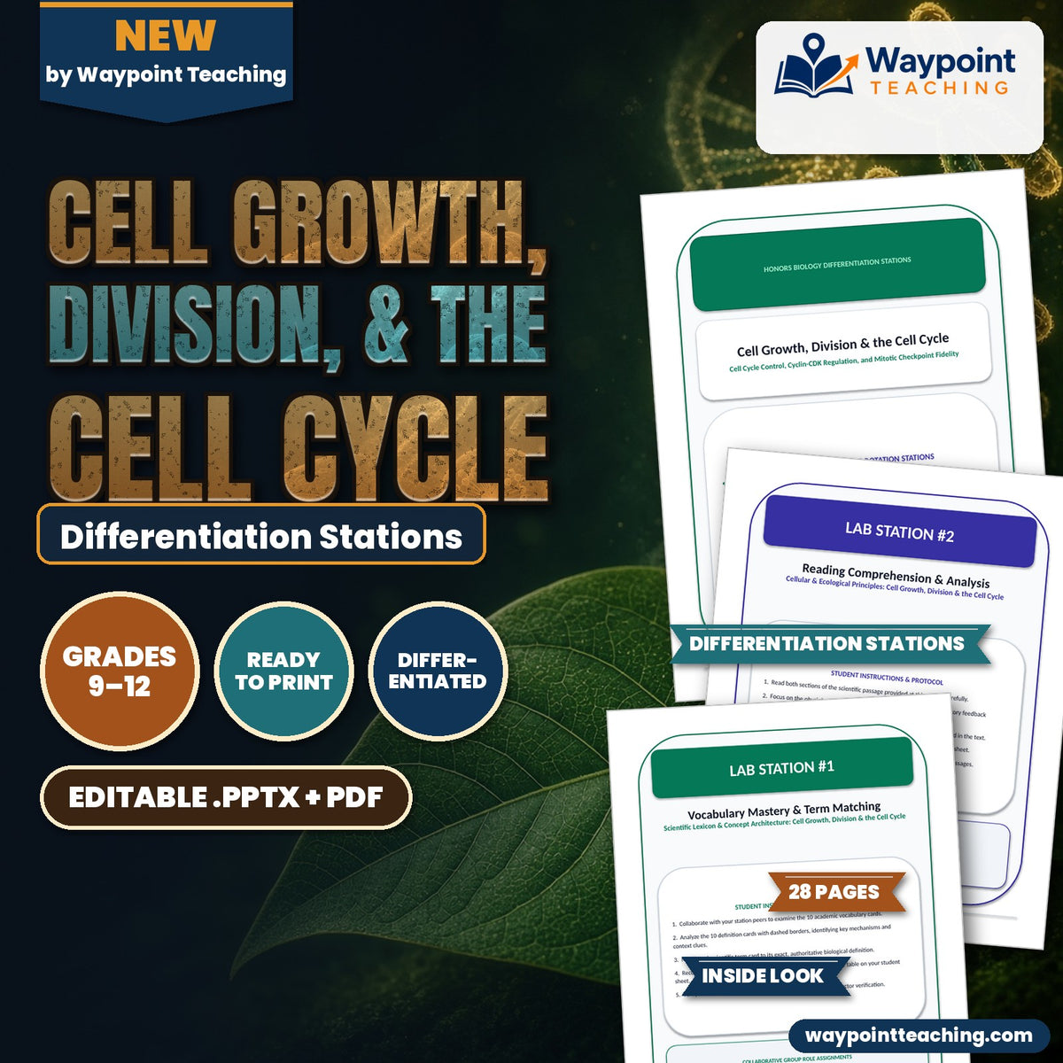 Cell Growth, Division, &  the Cell Cycle Differentiation Stations cover