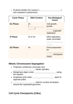 Cell Growth, Division, &  the Cell Cycle Guided Notes sample page