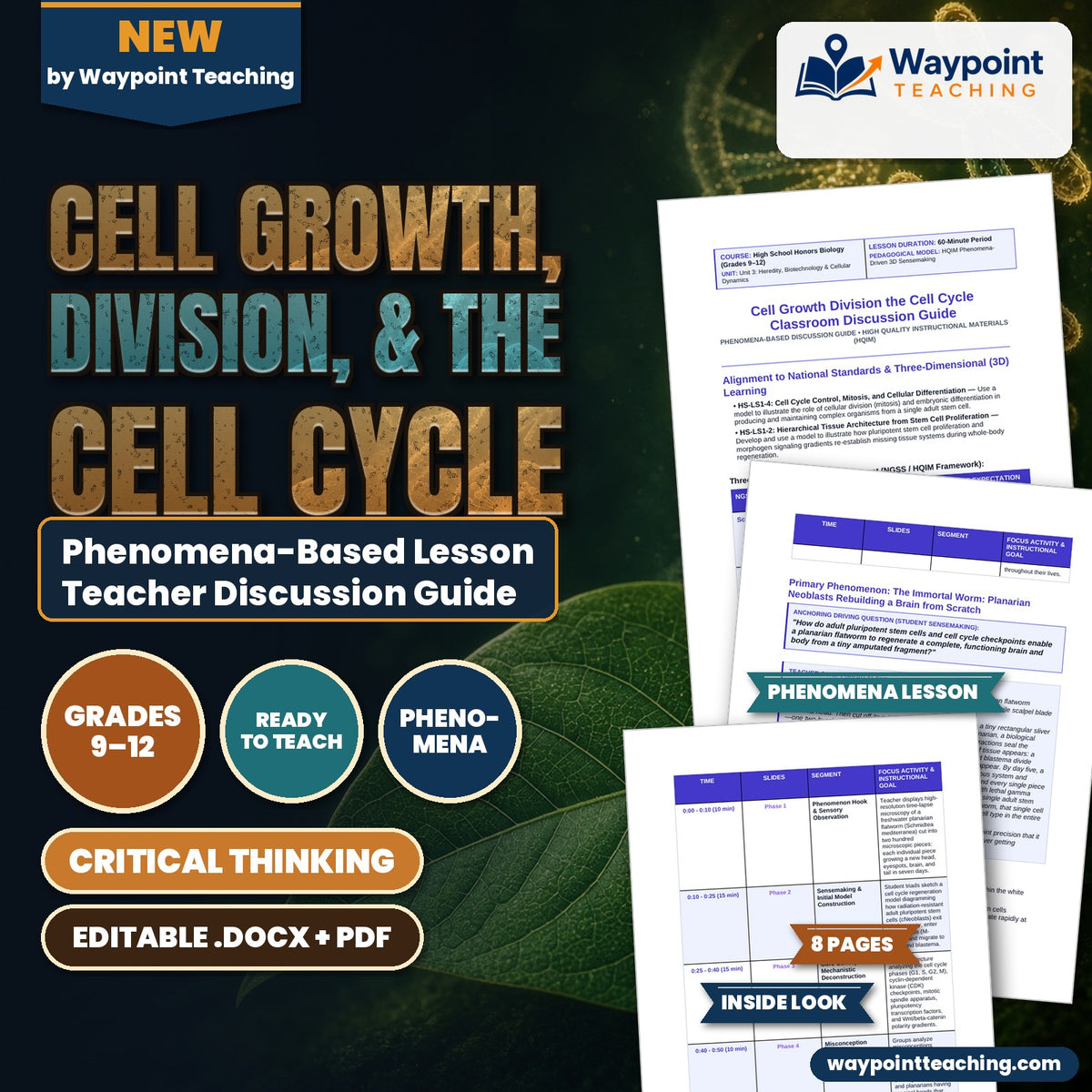Cell Growth, Division, &  the Cell Cycle Phenomena-Based Lesson: The Immortal Worm: Planarian Neoblasts Rebuilding a Brain from Scratch Teacher Discussion Guide cover