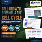 Cell Growth, Division, &  the Cell Cycle Phenomena-Based Lesson: The Immortal Worm: Planarian Neoblasts Rebuilding a Brain from Scratch Presentation cover