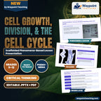 Cell Growth, Division, &  the Cell Cycle Scaffolded Phenomena-Based Lesson: The Immortal Worm: Planarian Neoblasts Rebuilding a Brain from Scratch Presentation cover