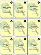 Cell Growth, Division, &  the Cell Cycle Trivia Board Game sample page