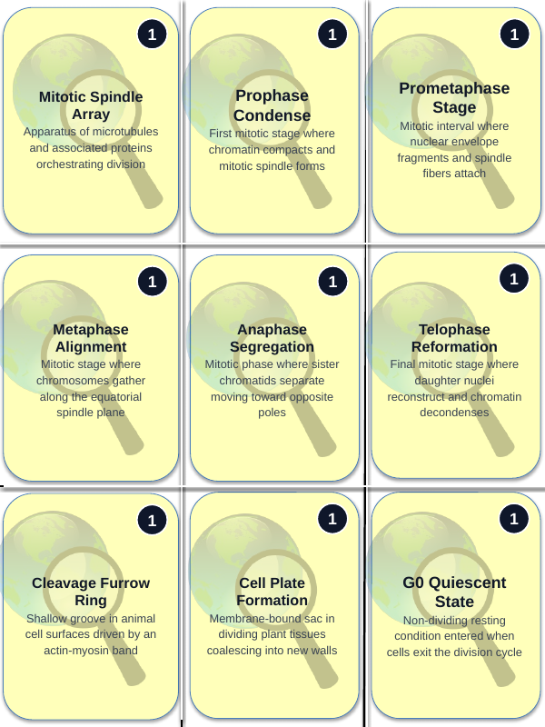 Cell Growth, Division, &  the Cell Cycle Trivia Board Game sample page