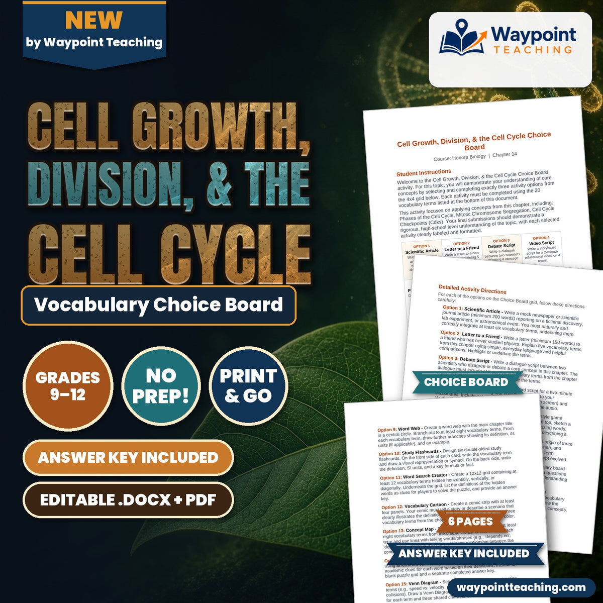 Cell Growth, Division, &  the Cell Cycle Vocabulary Choice Board cover