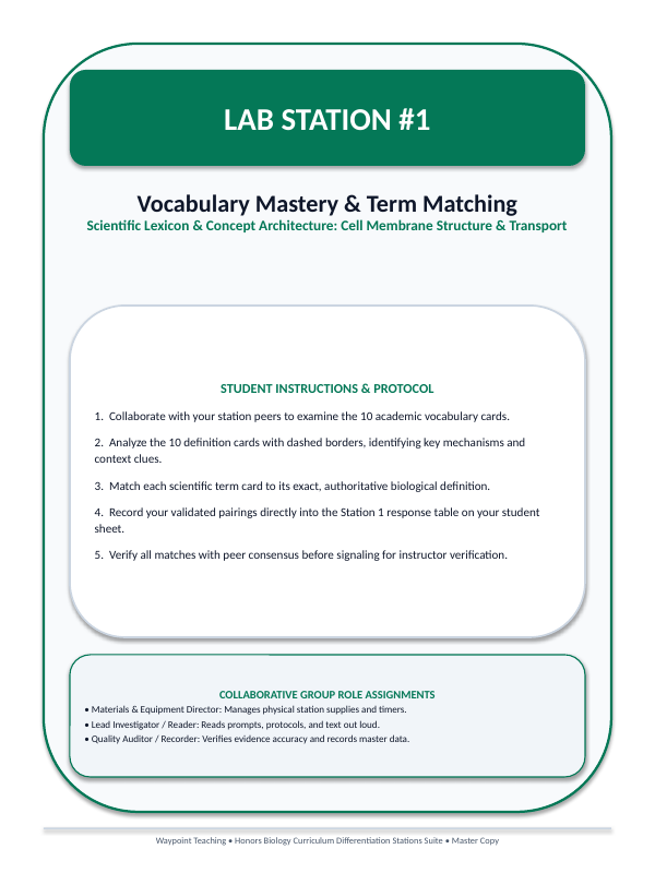 Cell Membrane Structure & Transport Differentiation Stations sample page