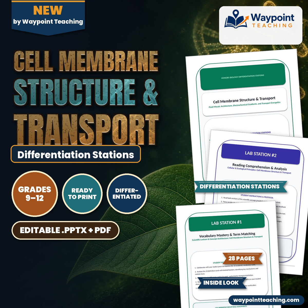 Cell Membrane Structure & Transport Differentiation Stations cover