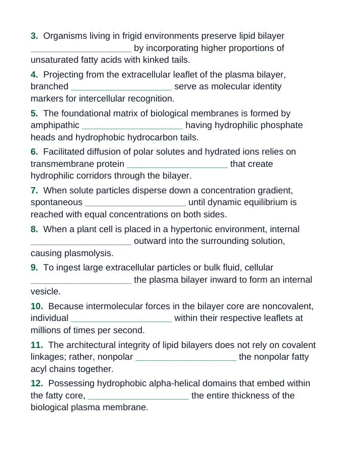 Cell Membrane Structure & Transport Fill-in-the-Blank Vocabulary Worksheet sample page