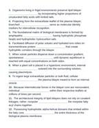 Cell Membrane Structure & Transport Fill-in-the-Blank Vocabulary Worksheet sample page