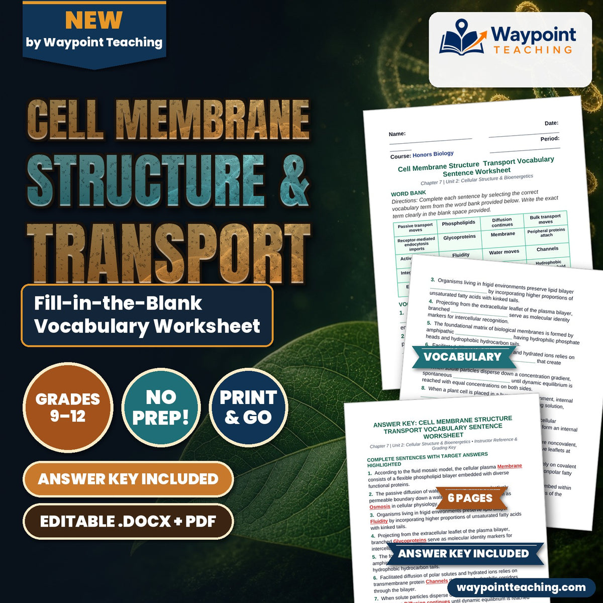 Cell Membrane Structure & Transport Fill-in-the-Blank Vocabulary Worksheet cover