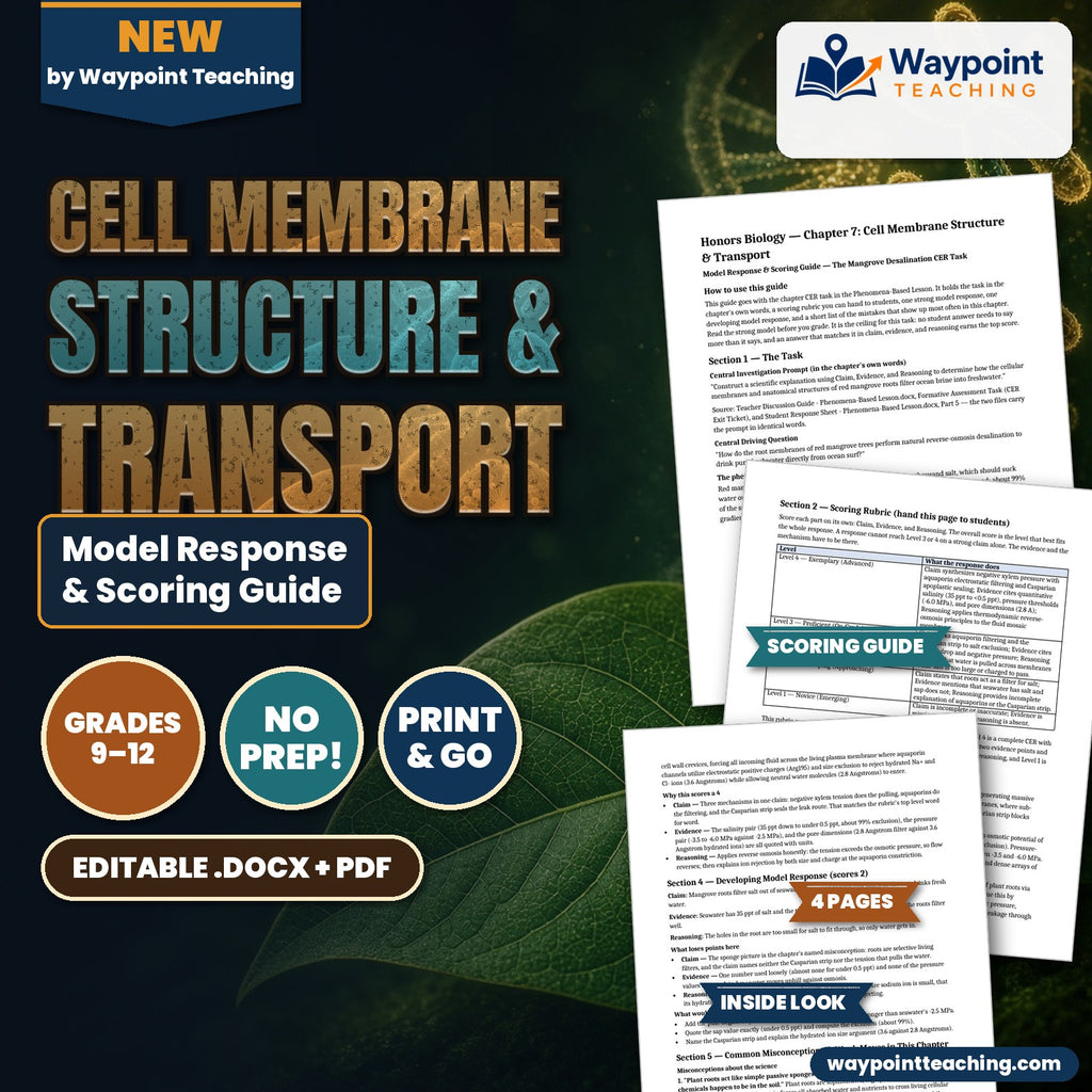 Cell Membrane Structure & Transport Model Response & Scoring Guide cover