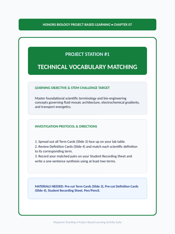 Cell Membrane Structure & Transport Project-Based Learning Activity sample page