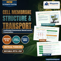 Cell Membrane Structure & Transport Scaffolded Phenomena-Based Lesson: The Ocean Drinkers: Mangrove Roots That Turn Seawater into Fresh Water Presentation cover