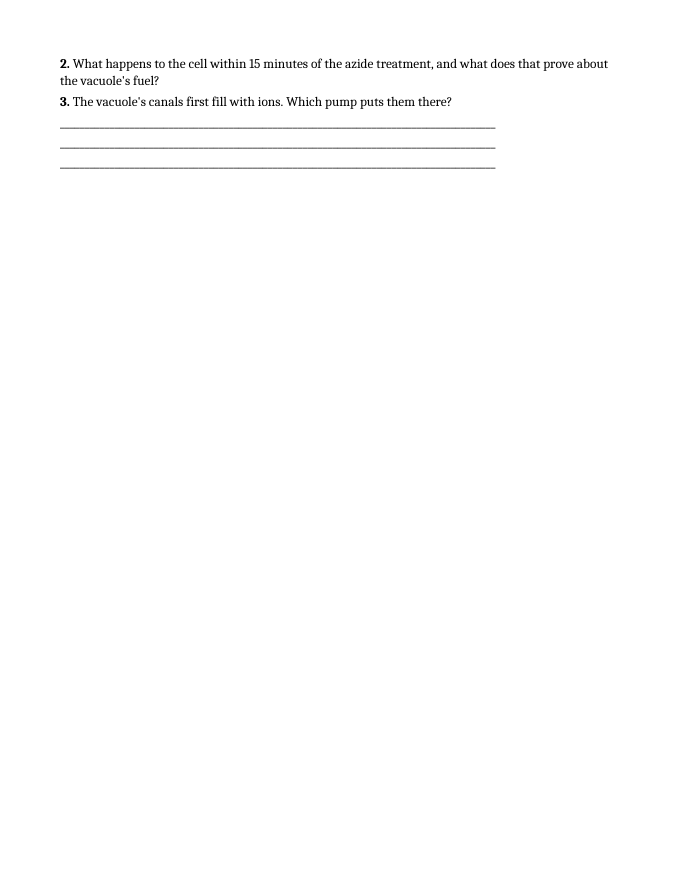 Cell Structure & Organelles Bell Ringers & Exit Tickets sample page