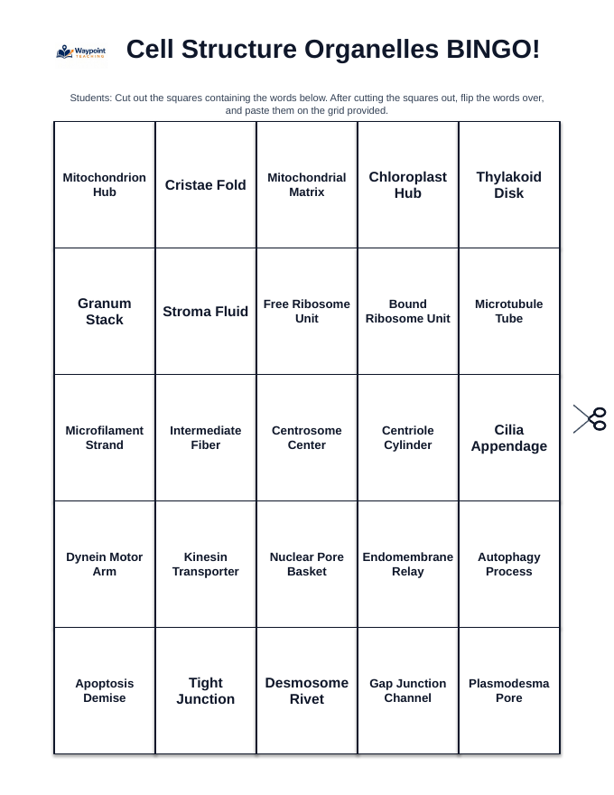 Cell Structure & Organelles BINGO Review Game sample page