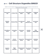 Cell Structure & Organelles BINGO Review Game sample page