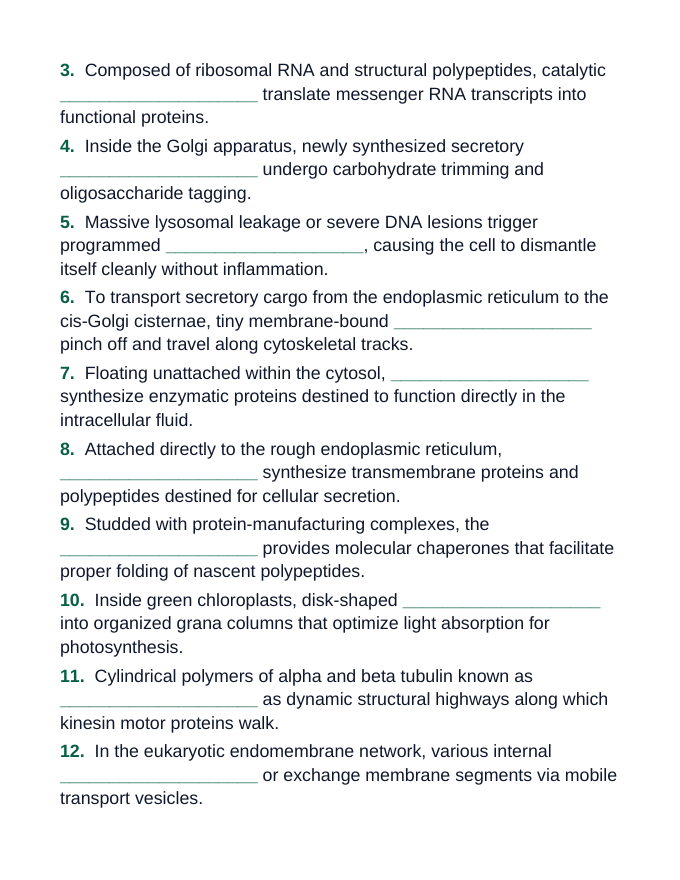 Cell Structure & Organelles Fill-in-the-Blank Vocabulary Worksheet sample page