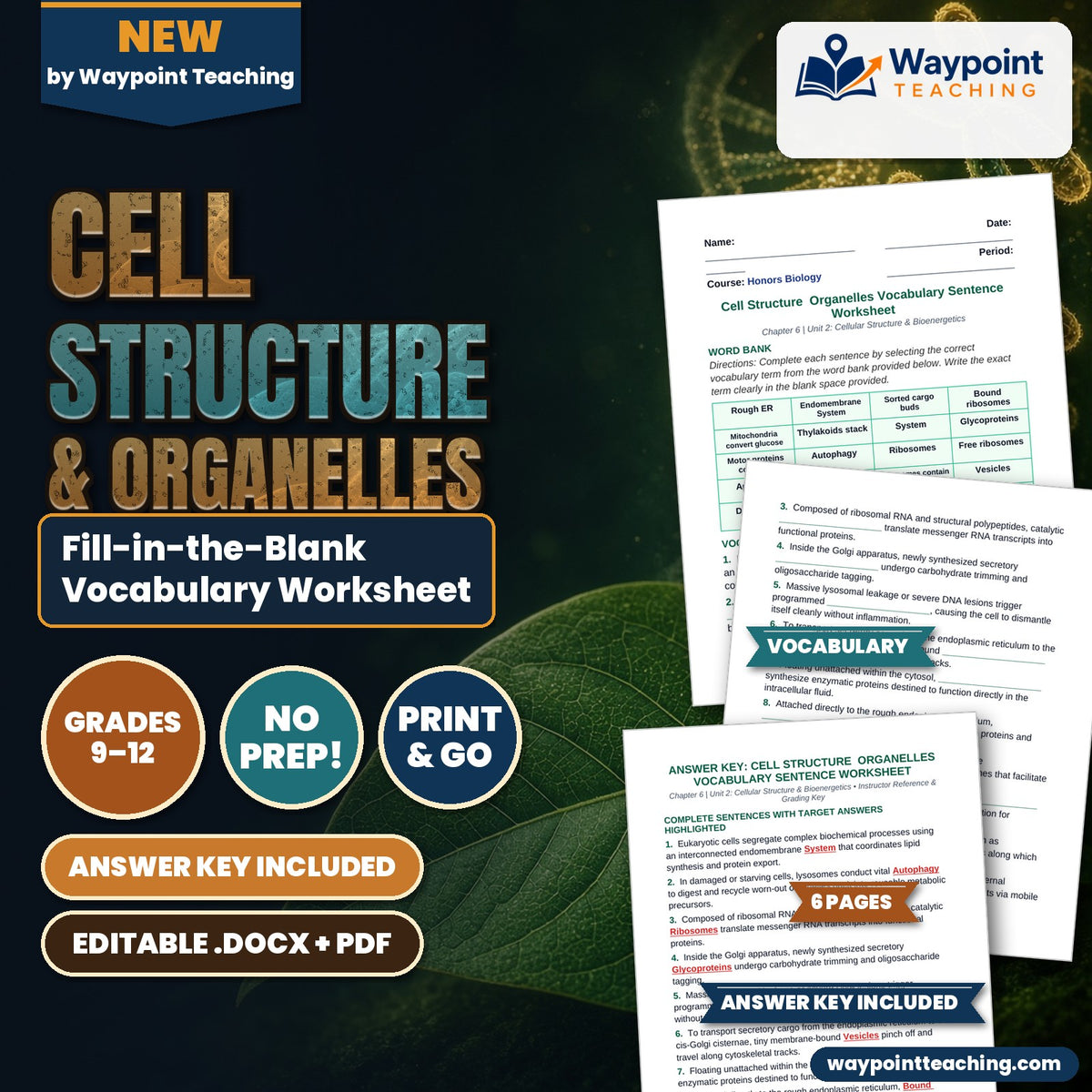 Cell Structure & Organelles Fill-in-the-Blank Vocabulary Worksheet cover