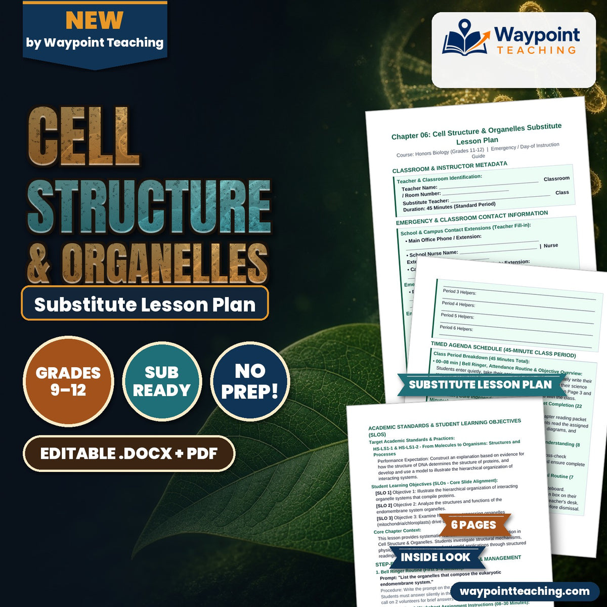 Cell Structure & Organelles Substitute Lesson Plan cover