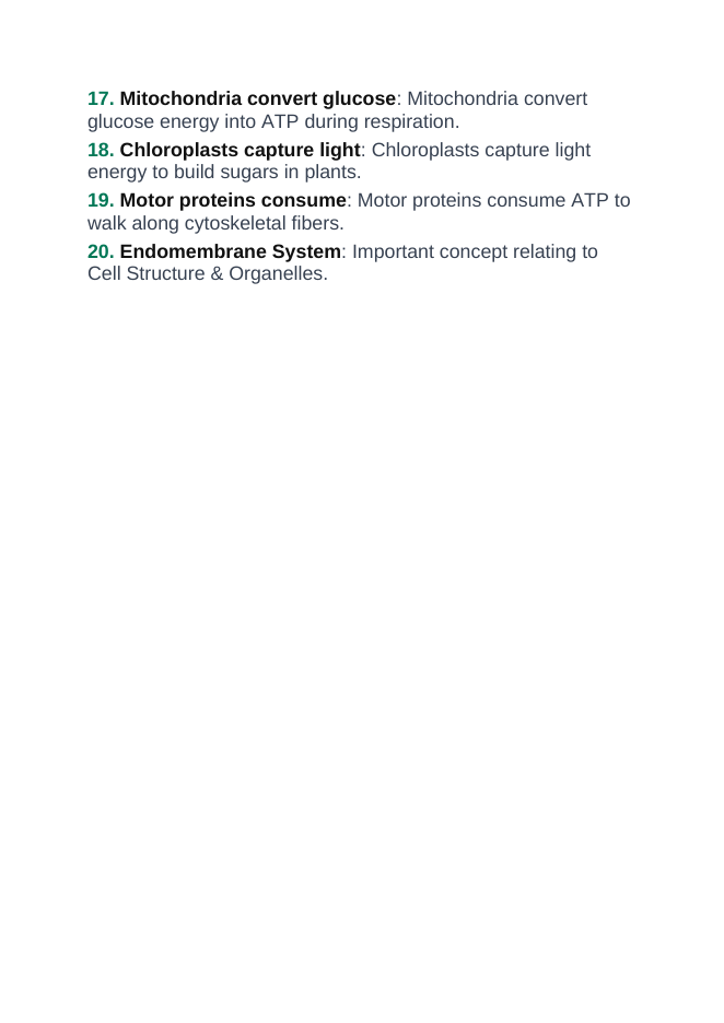 Cell Structure & Organelles Vocabulary Words & Definitions sample page