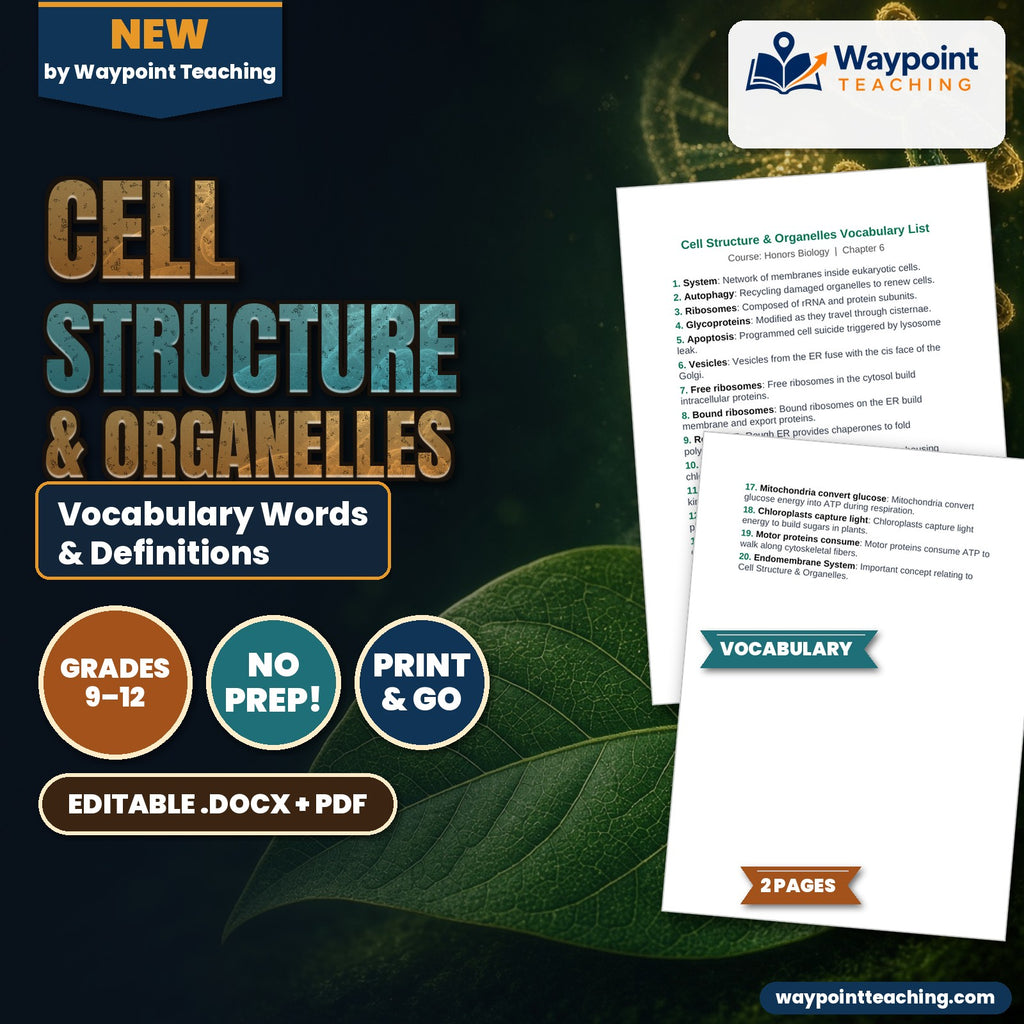 Cell Structure & Organelles Vocabulary Words & Definitions cover