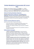 Cellular Metabolism & Homeostasis 5E Lesson Plan sample page