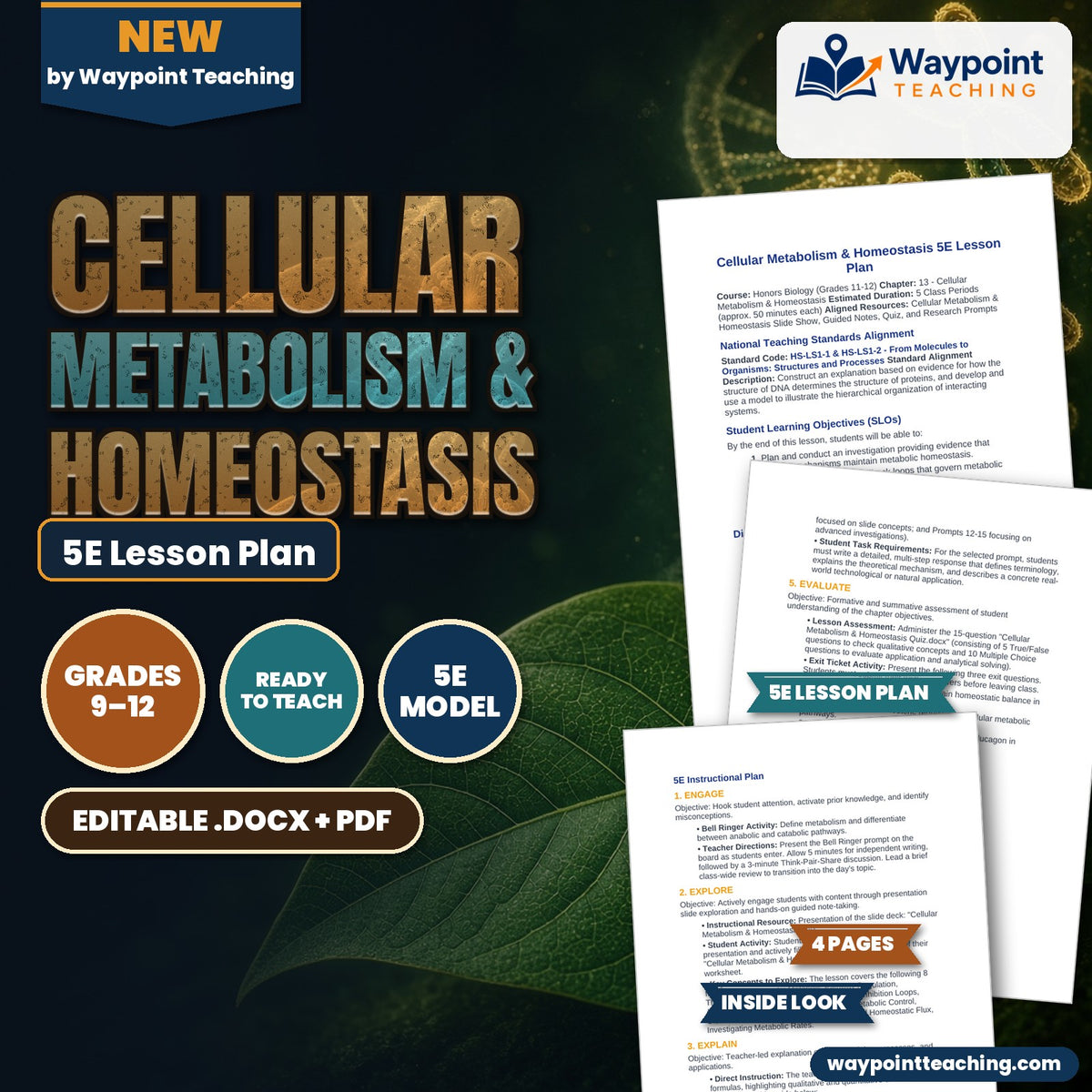 Cellular Metabolism & Homeostasis 5E Lesson Plan cover