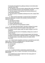 Cellular Metabolism & Homeostasis Lesson Quiz sample page