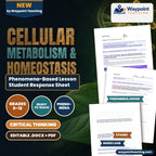 Cellular Metabolism & Homeostasis Phenomena-Based Lesson: The Frozen Stone: Wood Frogs Cheating Death with 300 mM Glucose Student Response Sheet cover